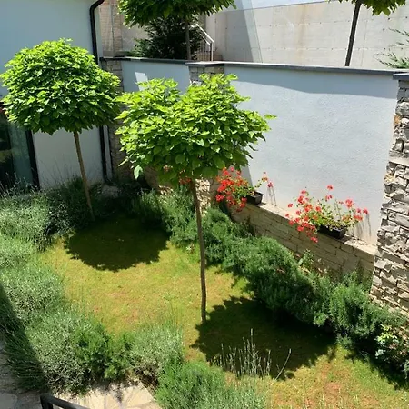 Plazza Luxury Vižinada